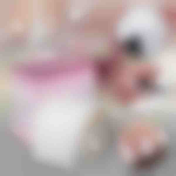 Rolka z włókna szklanego i jedwabiu do naprawy paznokci | EZNAIL