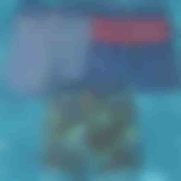 Szybkoschnące Kąpielówki | TOGGIES