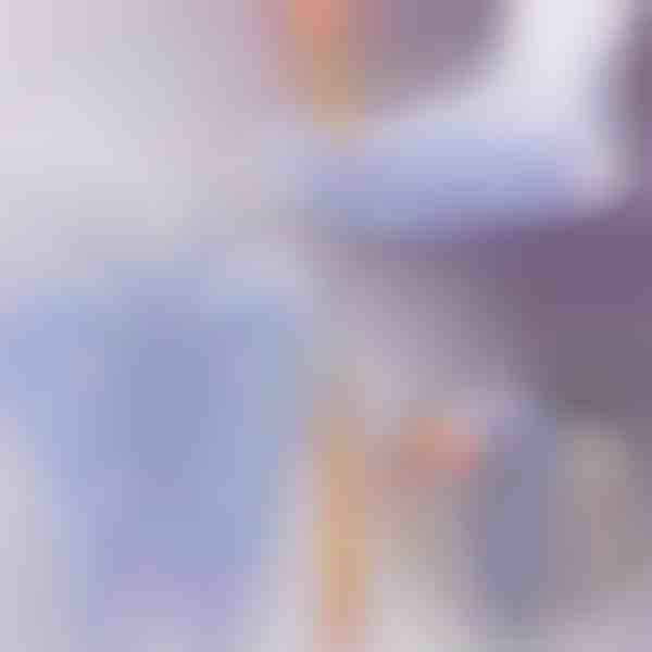 Aktywuj punkty zdrowia – skarpetki do refleksologii dla codziennego masażu | FEETRA